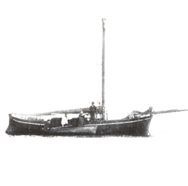 AusternfischerHotspur270x270